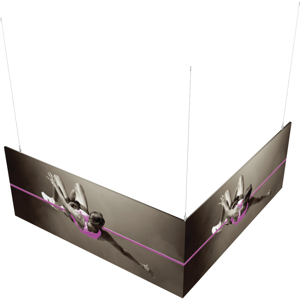10ft x 10ft x 4ft L-Shaped Hanging Structure