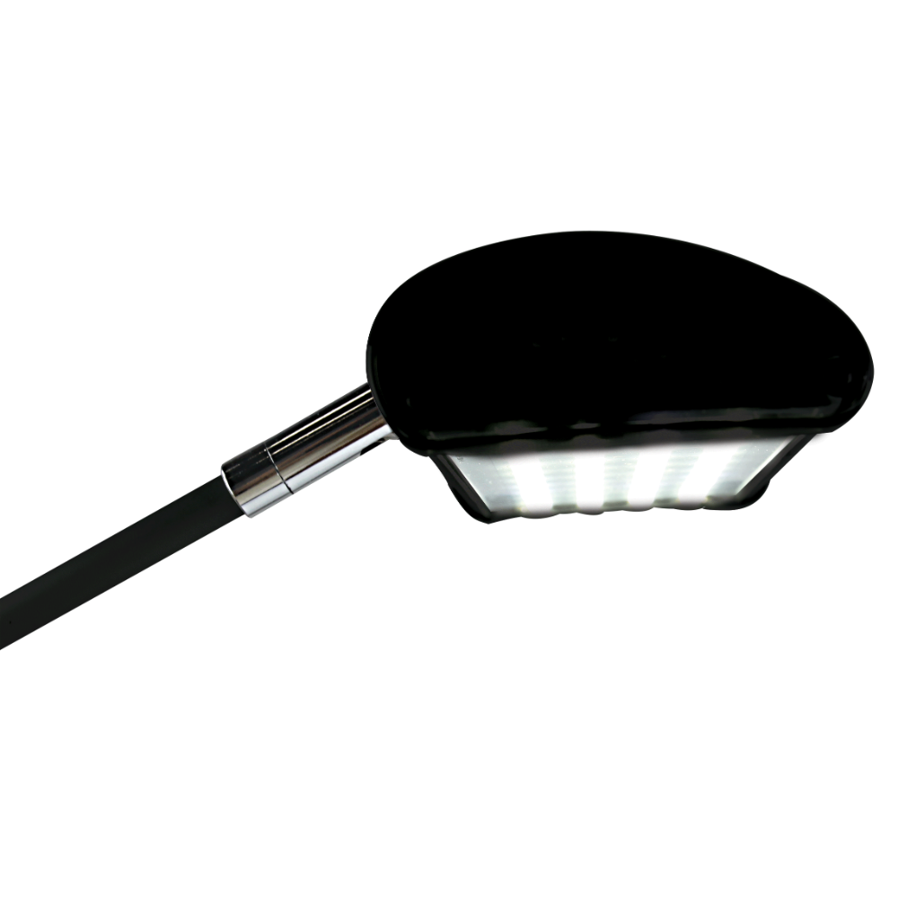 Lumina 200 LED Display Light